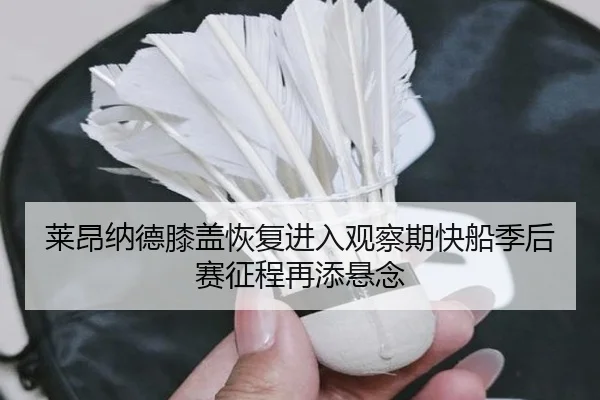 莱昂纳德膝盖恢复进入观察期快船季后赛征程再添悬念